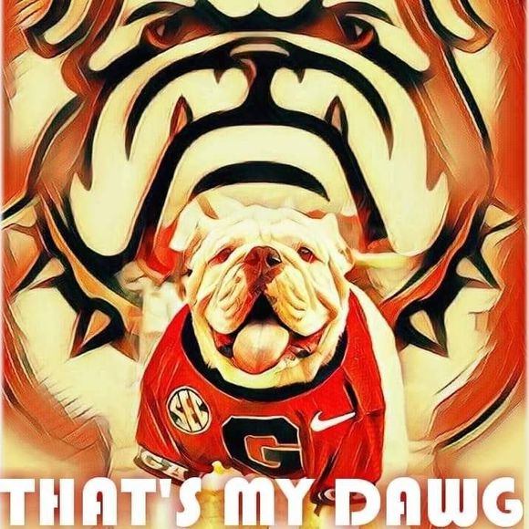 Meet your Posher, Shawn - Picture 1 of 1